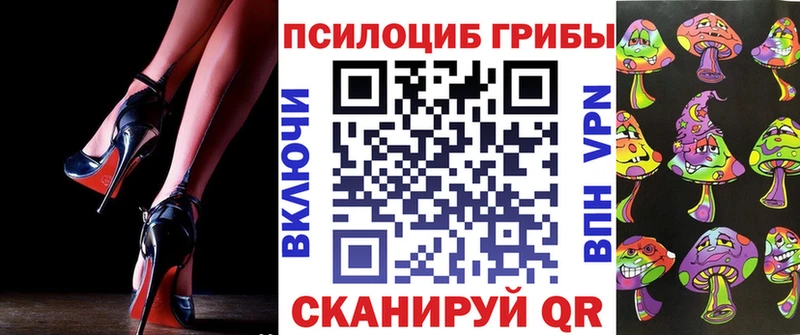 Псилоцибиновые грибы Psilocybine cubensis Тамбов